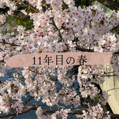 ☆11年目の春☆